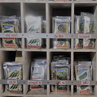 plant nursery sri lanka seeds